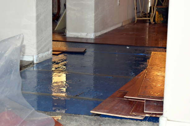 Professional Burst Pipe Cleanup technician working in Paramus, NJ